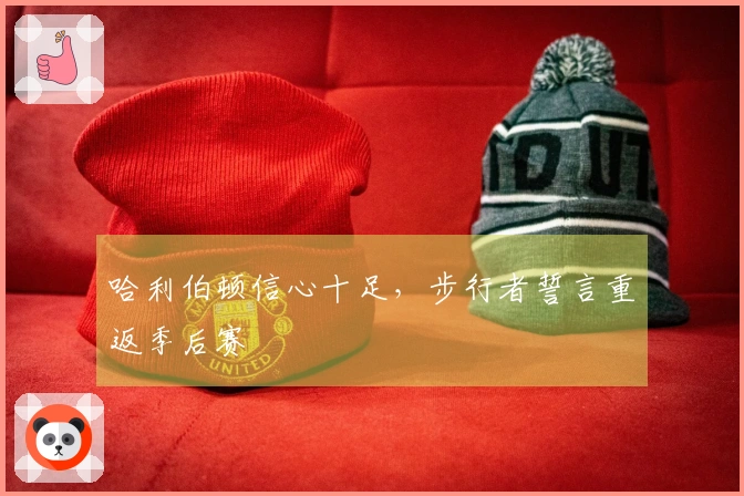 哈利伯顿信心十足，步行者誓言重返季后赛