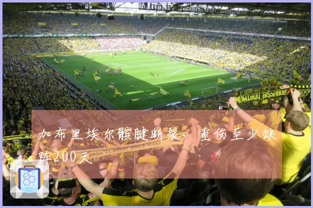 加布里埃尔髌腱断裂，重伤至少缺阵200天
