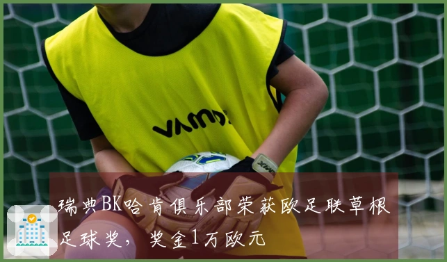 瑞典BK哈肯俱乐部荣获欧足联草根足球奖，奖金1万欧元