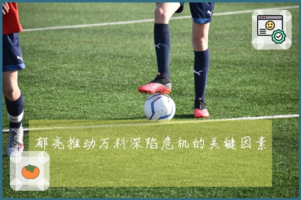 郁亮推动万科深陷危机的关键因素
