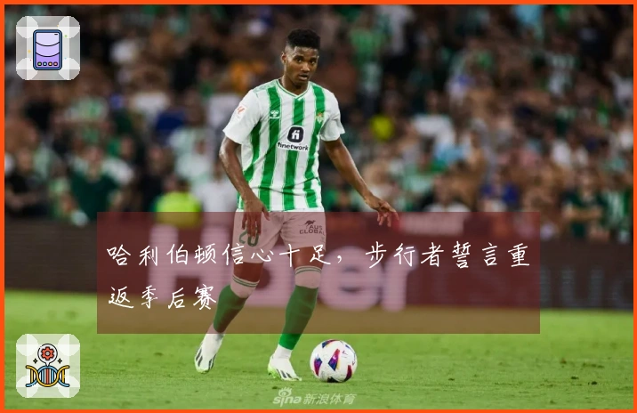 哈利伯顿信心十足，步行者誓言重返季后赛